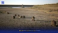 آب تهران رسماً تمام شد / دستور صرفه‌جویی 2 برابری مصرف آب