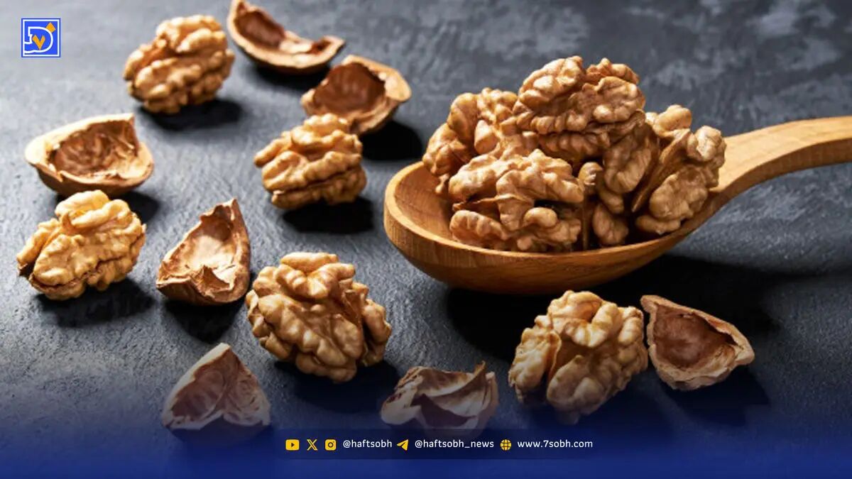 قدرت مغز گردو برای سلامتی را دست‌کم نگیرید