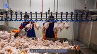دلیل افزایش قیمت عجیب گوشت و مرغ در بازار فاش شد