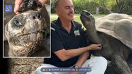 عمر سالخورده‌ترین ساکن باغ وحش «سن‌دیگو» در ۱۴۱ سالگی به پایان رسید