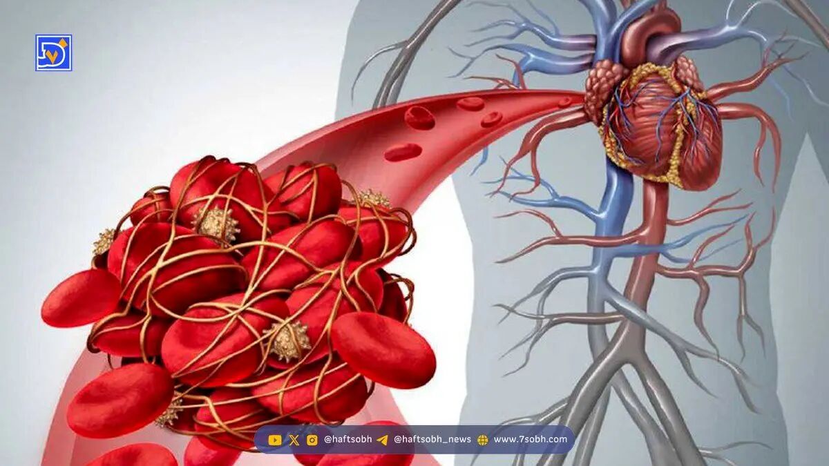 دانه های ریز سیاه معجزه ای برای چربی خون شماست