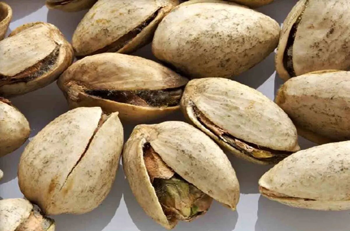 کانادا برای پسته ایران حرف و حدیث ساخت!