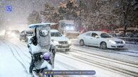 هواشناسی / برف و باران از چهارشنبه