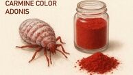 تأیید استفاده از رنگ طبیعی قرمز حاصل از پوست برخی حشرات در محصولات غذایی