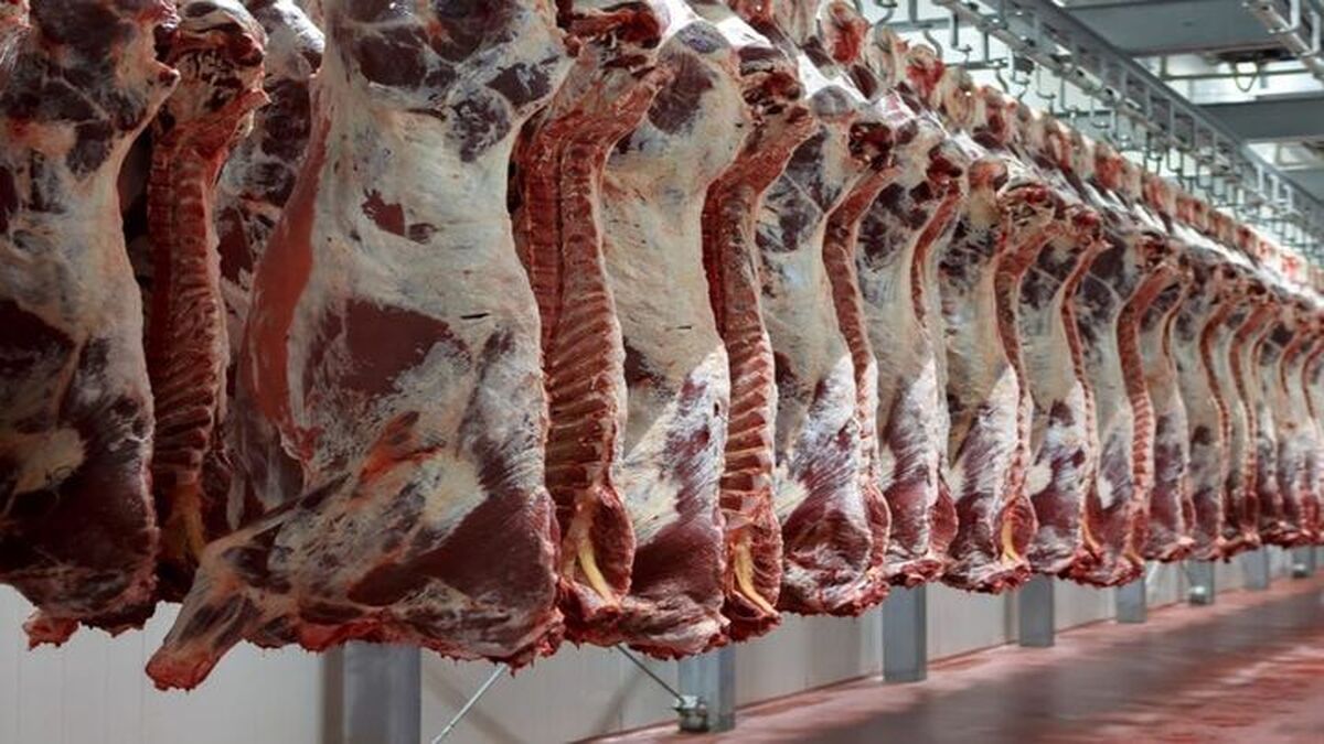 قیمت گوشت قرمز امروز یکشنبه 14 دی 1404 + جدول