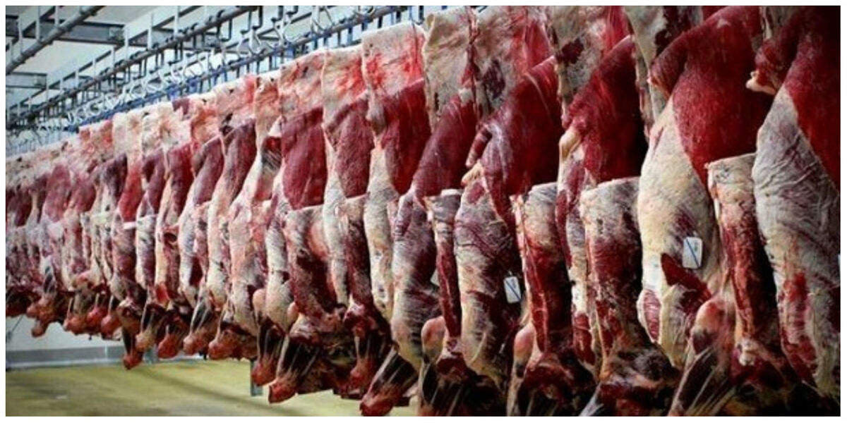 گوشت قرمز گرانتر می‌شود؟ / پیش بینی ها از قیمت گوشت قرمز در ماه های آینده