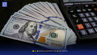 تبعات جراحی اقتصادی‌ به‌ جای اصلاح ساختار دولت