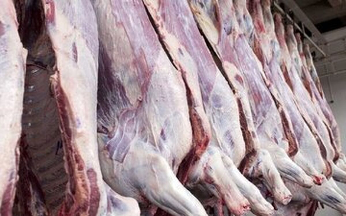 قیمت گوشت قرمز امروز یکشنبه 3 اسفند 1404 / تغییر شدید قیمت گوشت در قصابی‌ها