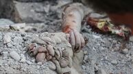تصاویر خانواده های داغدار دانش آموزان مدرسه دخترانه میناب پس‌از موشک باران