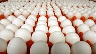 قیمت جدید تخم‌مرغ اعلام شد/ گران‌تر نخرید