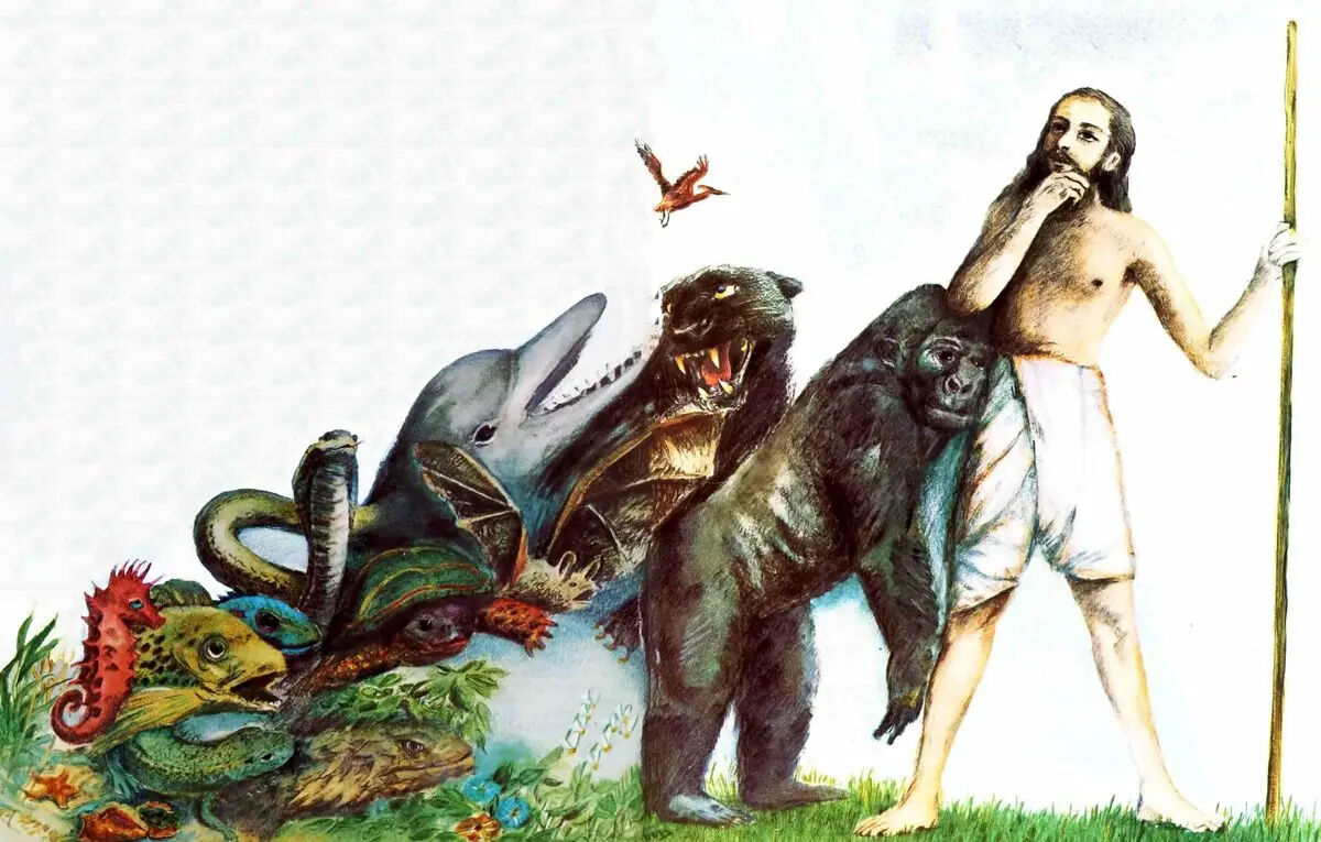 ۵۰۰ میلیون سال پیش؛ تکامل حیات از آب به خشکی با تغییرات ژنتیکی شگفت‌انگیز