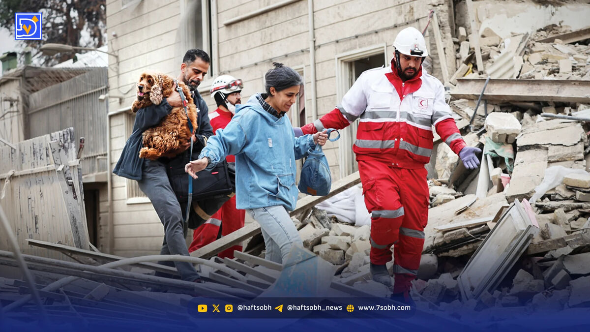 جنگ از نگاه سگ‌ها و گربه‌ها و پرندگان