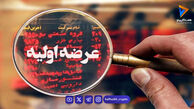 جزئیات ناگفته هفتمین عرضه اولیه فرابورس در سال ۱۴۰۵؛ فرصت طلایی سرمایه‌گذاری در راه است!