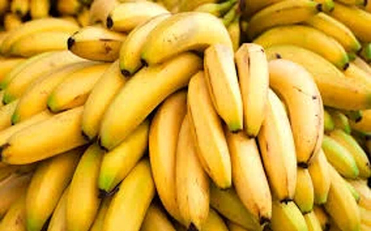 هیچوقت صبح ناشتا موز نخورید/ این بلای وحشتناک سر معده شما می‌آید!