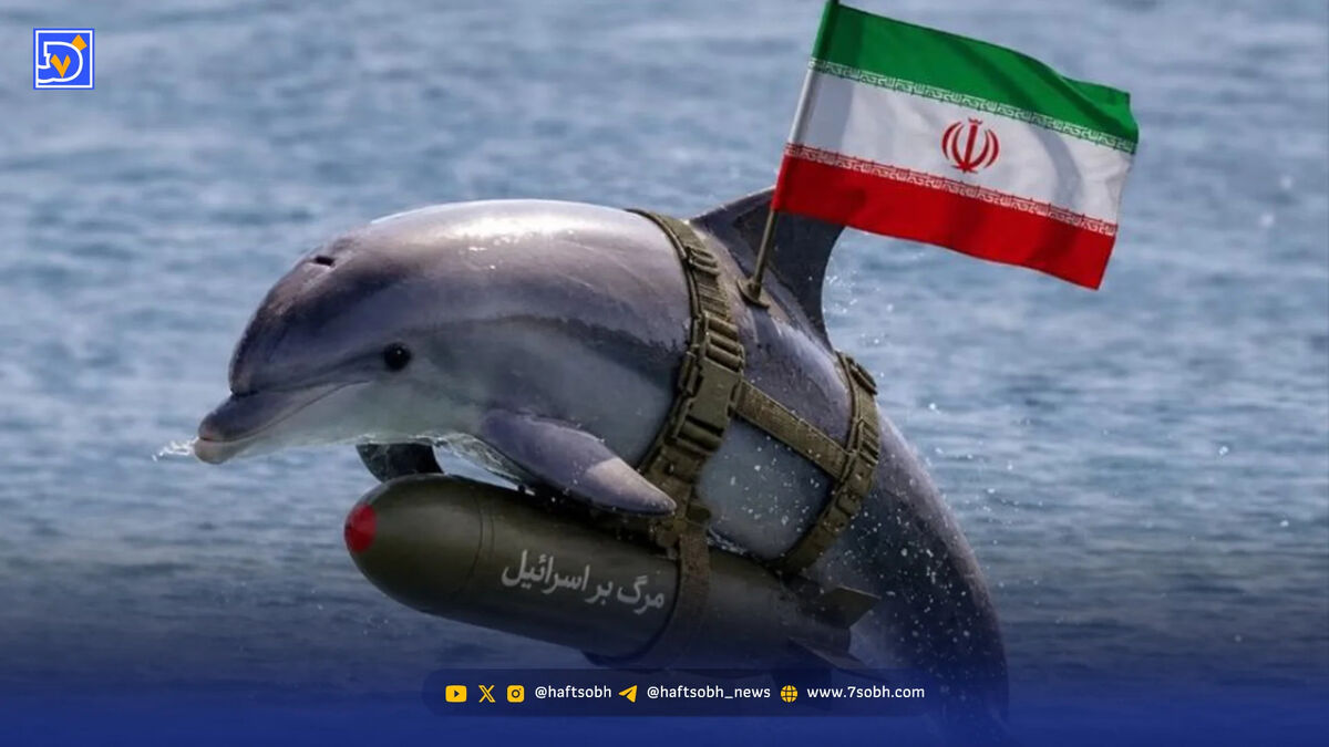 روایت ارتش از ماجرای دلفین‌های انتحاری در خلیج فارس