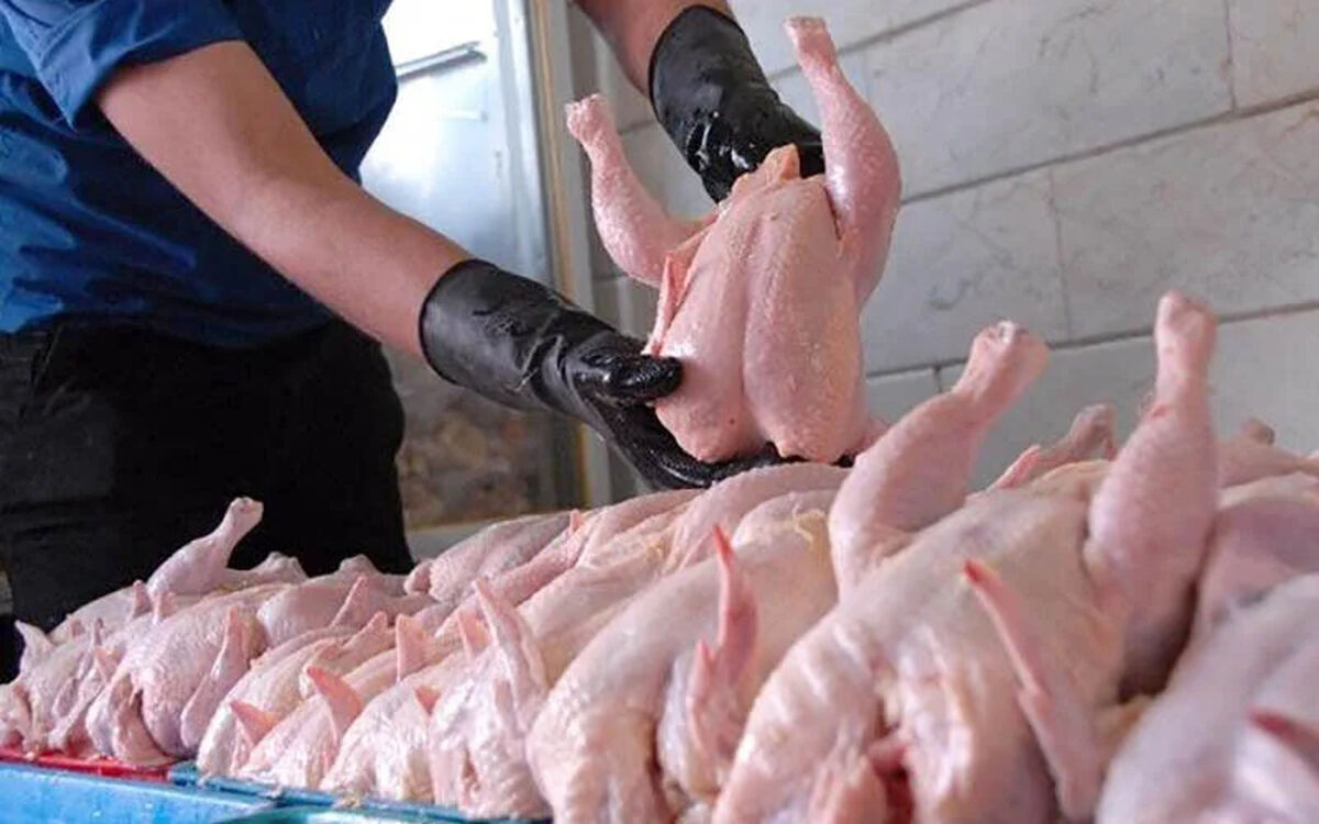 قیمت رسمی مرغ در بازار امروز پنجشنبه ۳۱ اردیبهشت ۱۴۰۵ اعلام شد