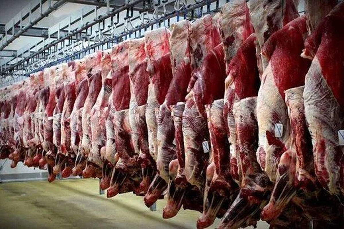 آخرین قیمت گوشت قرمز در بازار امروز / گرانی شدید گوشت + جدول
