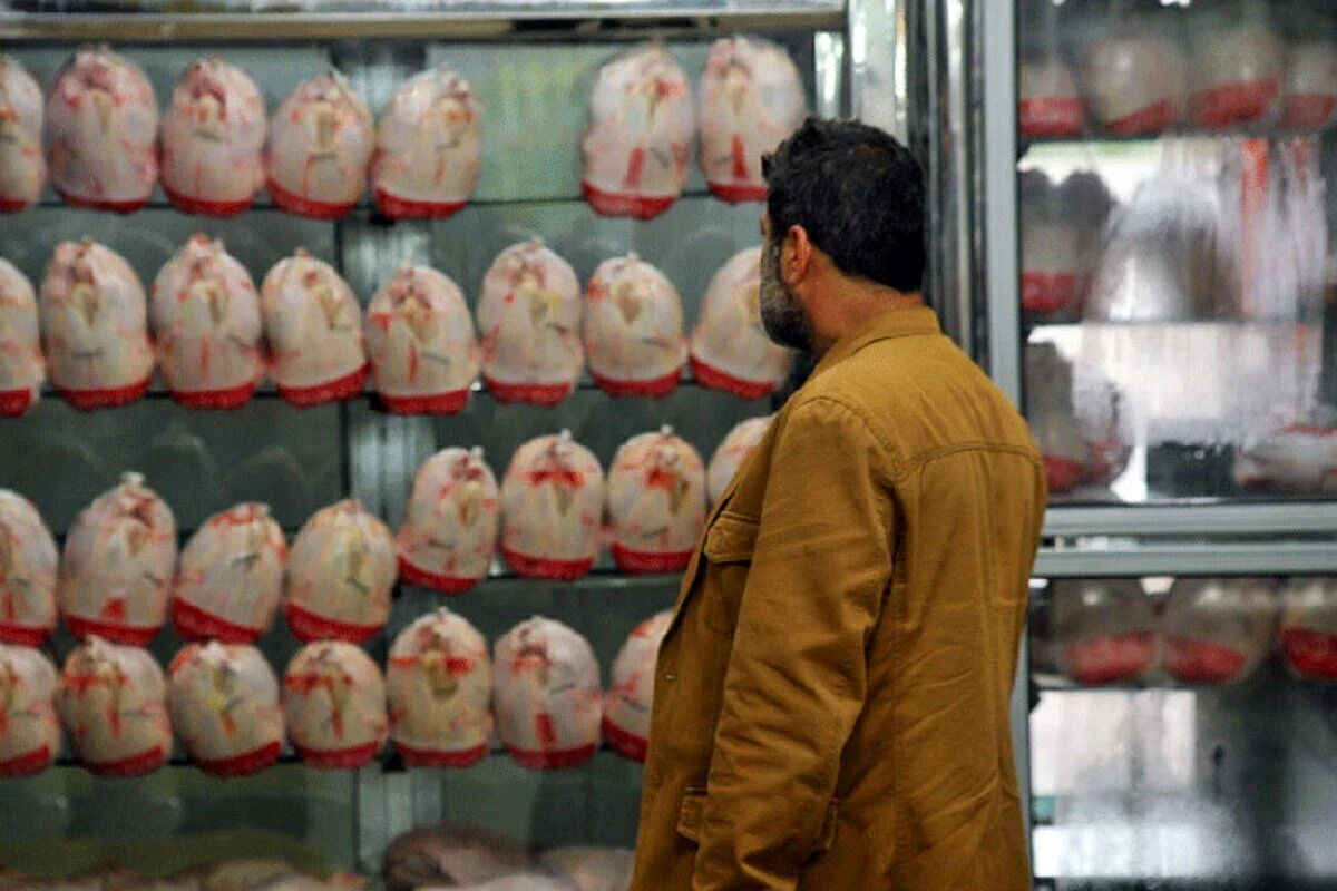 آخرین قیمت مرغ و تخم مرغ در بازار امروز شنبه 2 خرداد 1405 / بازار مرغ نوسانی شد