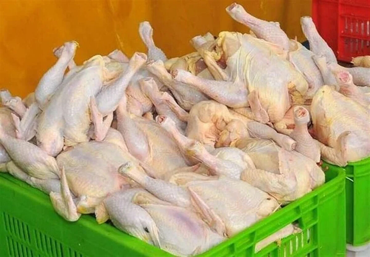 قیمت منطقی مرغ برای خریداران