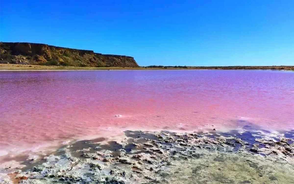 تالاب لیپار چابهار که 5 ماه از سال صورتی است + عکس
