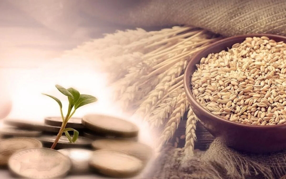 آخرین خبر از پرداخت مطالبات گندمکاران امروز پنجشنبه ۱۴ خرداد ۱۴۰۵+ نحوه اعتراض و پیگیری حقوقی