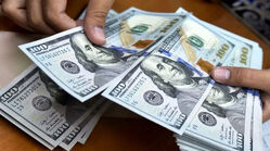 آخرین قیمت دلار امروز ۱۴ خرداد ۱۴۰۵ / بازار آزاد ارزان شد