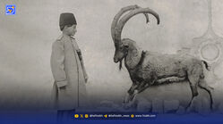 قاب تاریخ| آقازاده شکارچی و دو مارگیر و معرکه‌گیر