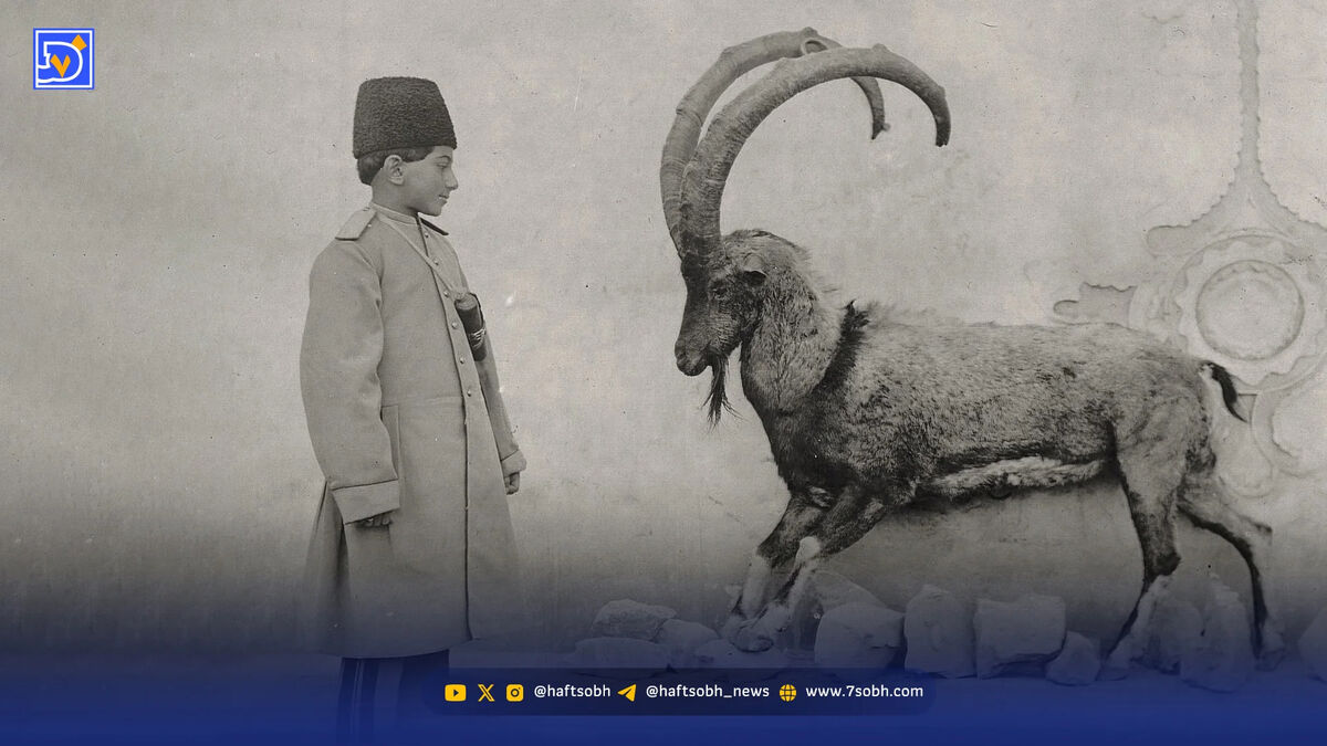 قاب تاریخ| آقازاده شکارچی و دو مارگیر و معرکه‌گیر