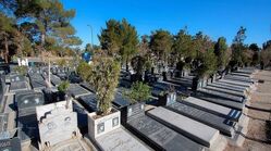 بعد از مرگ چه بلایی سر بدن ما می‌آید؟/  نگاهی به تغییرات بیولوژیک بدن در لحظات و روزهای پس از آن
