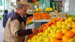 نحوه فعالیت میادین میوه و تره بار امروز و فردا چهارشنبه 17 تیر