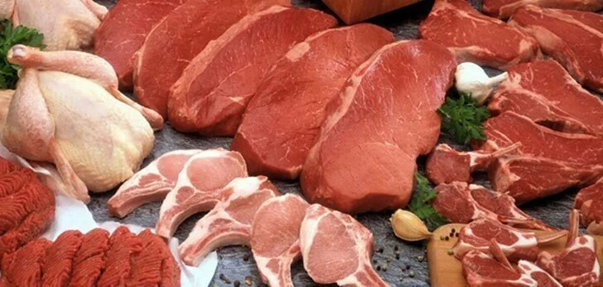 محدودیتی در توزیع گوشت قرمز نداریم/ قیمت هر کیلو مرغ منجمد ۲۶۱ هزار تومان