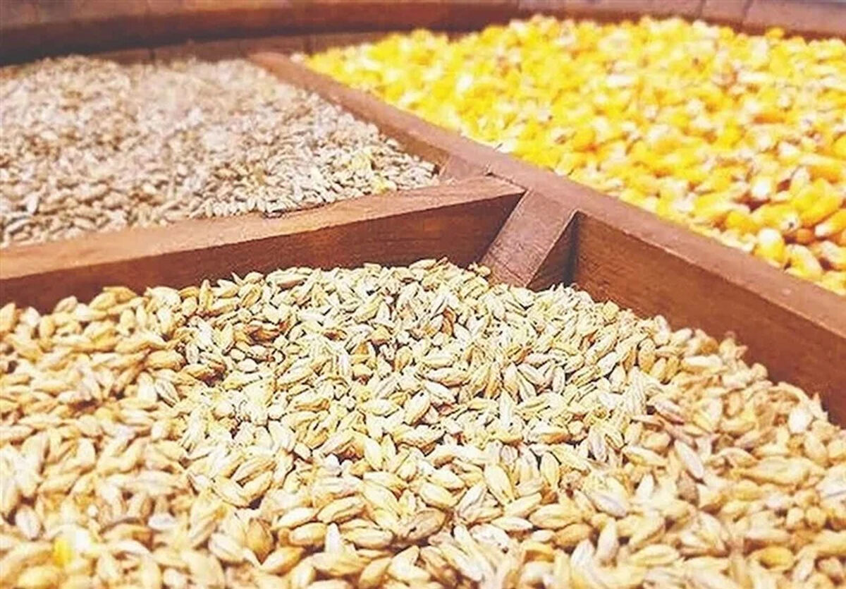 واردات 23 میلیون تن کالای اساسی در سال/پیامد خرید نهاده دامی از آمریکا