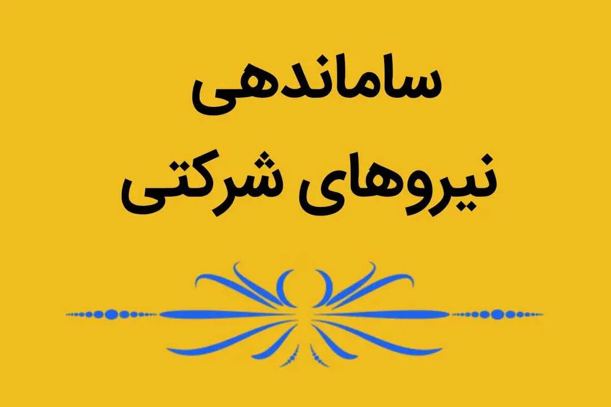 خبر داغ برای نیروهای شرکتی؛ طرح ساماندهی کارکنان دولت بالاخره به ایستگاه آخر رسید؟ | آخرین وضعیت حذف شرکت‌های واسطه و اجرای ساماندهی در ۲۶ تیر ۱۴۰۵