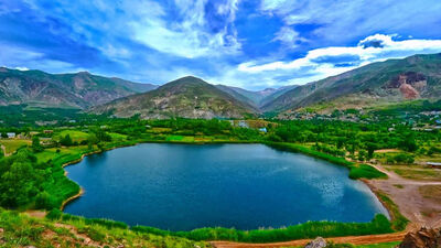 یوزهای آسیایی؛ گمشده‌های دشت ایران