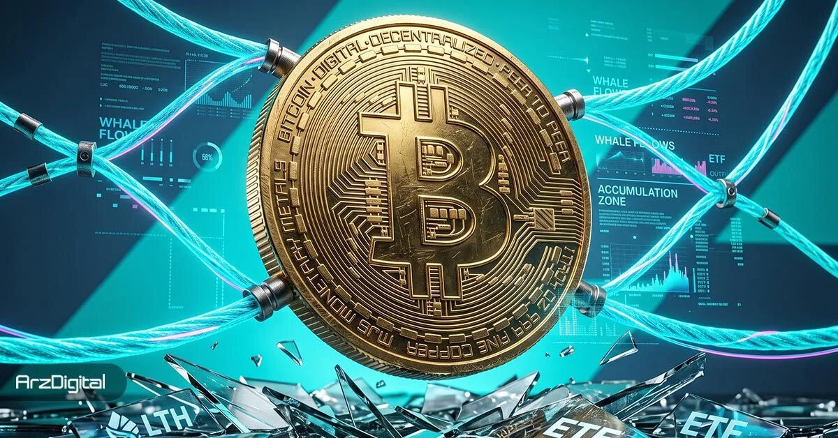 نهنگ‌ها در سکوت ۲۷۰ هزار بیت کوین انباشت کردند؛ الگویی آشنا در نزدیکی کف‌های بازار