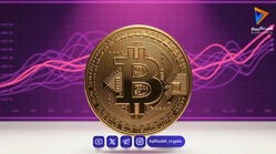 کشف راز پیش‌بینی کف قیمت بیت کوین؛ آیا واقعا ممکن است؟