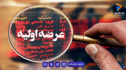 چقدر سرمایه لازم است تا بدون ریسک وارد بورس شوید؟ رازهایی که همه نمی‌دانند!