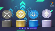 آلت سیزن چیست و چگونه می‌توان زمان طلایی آن را پیش‌بینی کرد؟