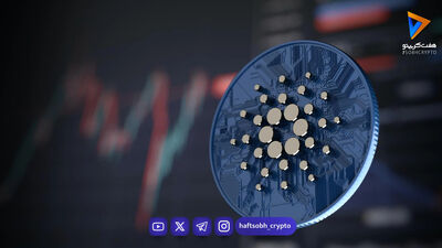 خیز کاردانو برای رالی صعودی؛ غول خفته آلت‌کوین‌ها جان گرفت