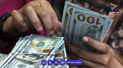 بهترین سرمایه گذاری با ۱۰ میلیون تومان در سال ۱۴۰۵