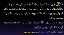 تاجرنیا به هواداران استقلال: روی ما فشار نگذارید!