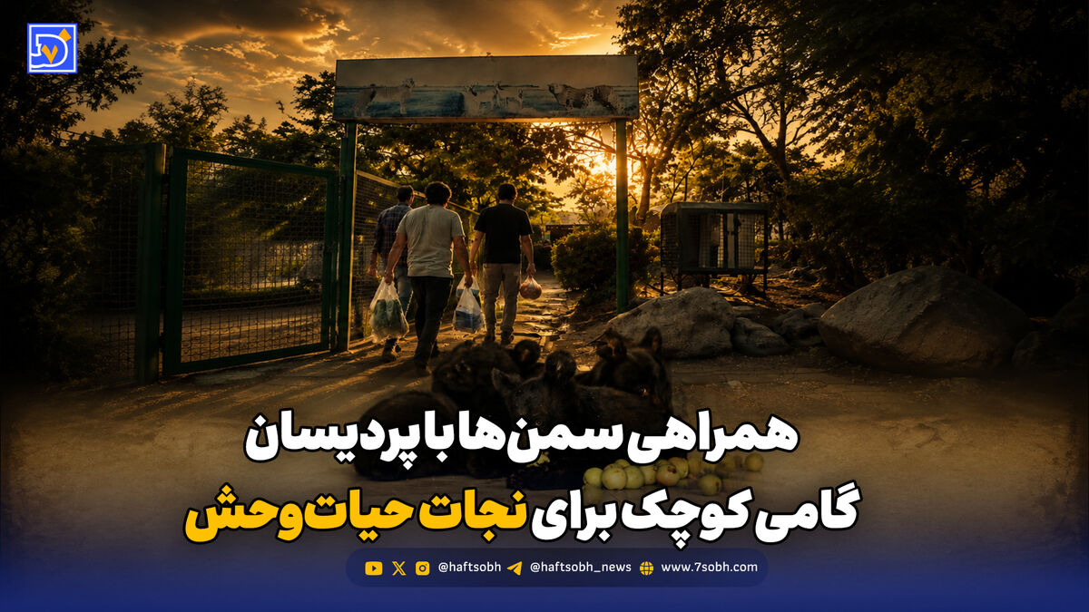 همراهی سمن‌ها با پردیسان